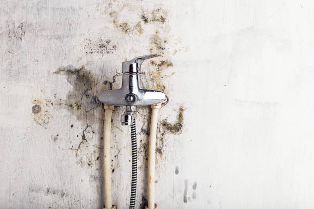 Best Office Mold Removal Services  in Lone Grove, OK