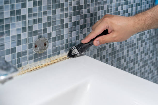 Best Certified Mold Removal  in Lone Grove, OK